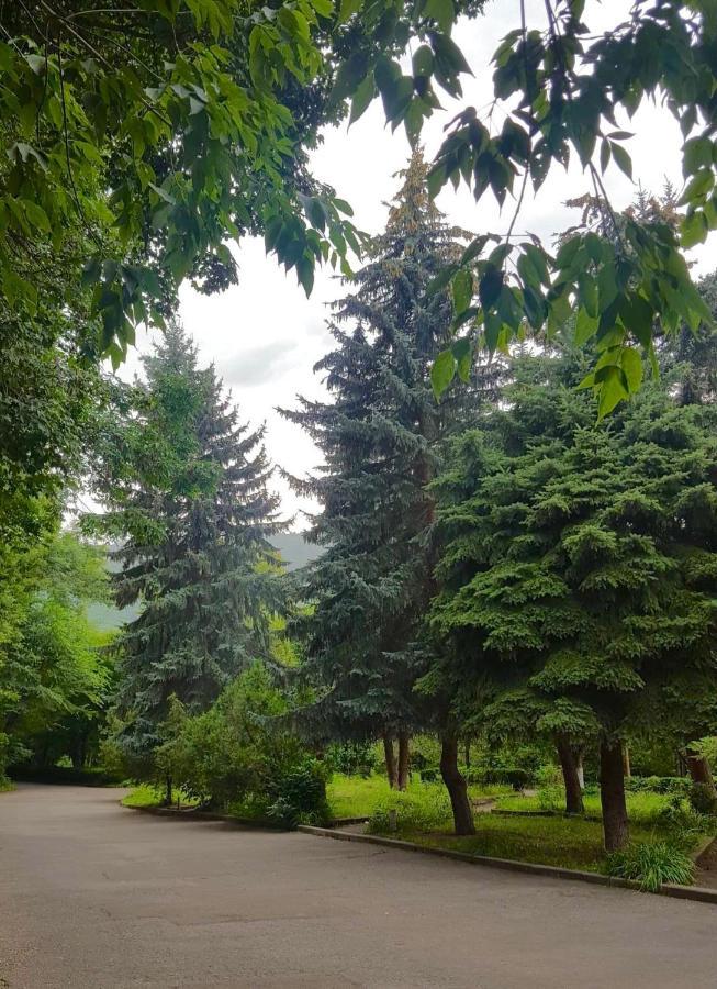 Vanadzor Armenia Health Resort & Hotel Esterno foto
